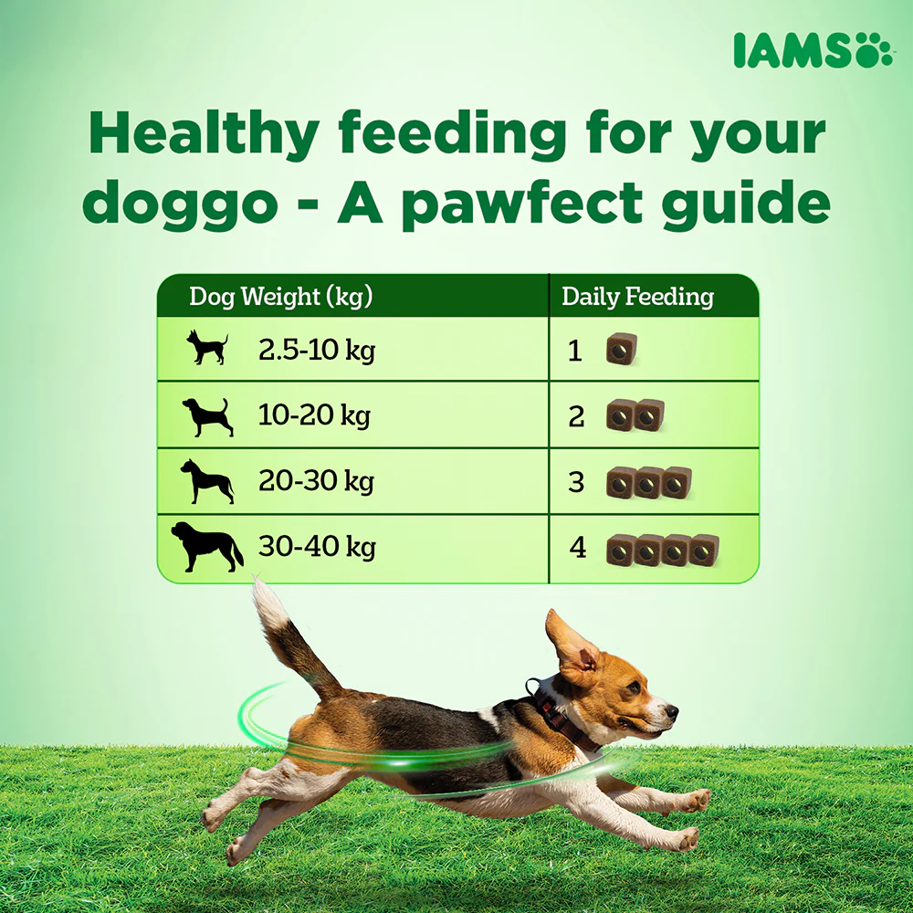 IAMS Proactive Health Dog Supplement For Joint Support - Image 7