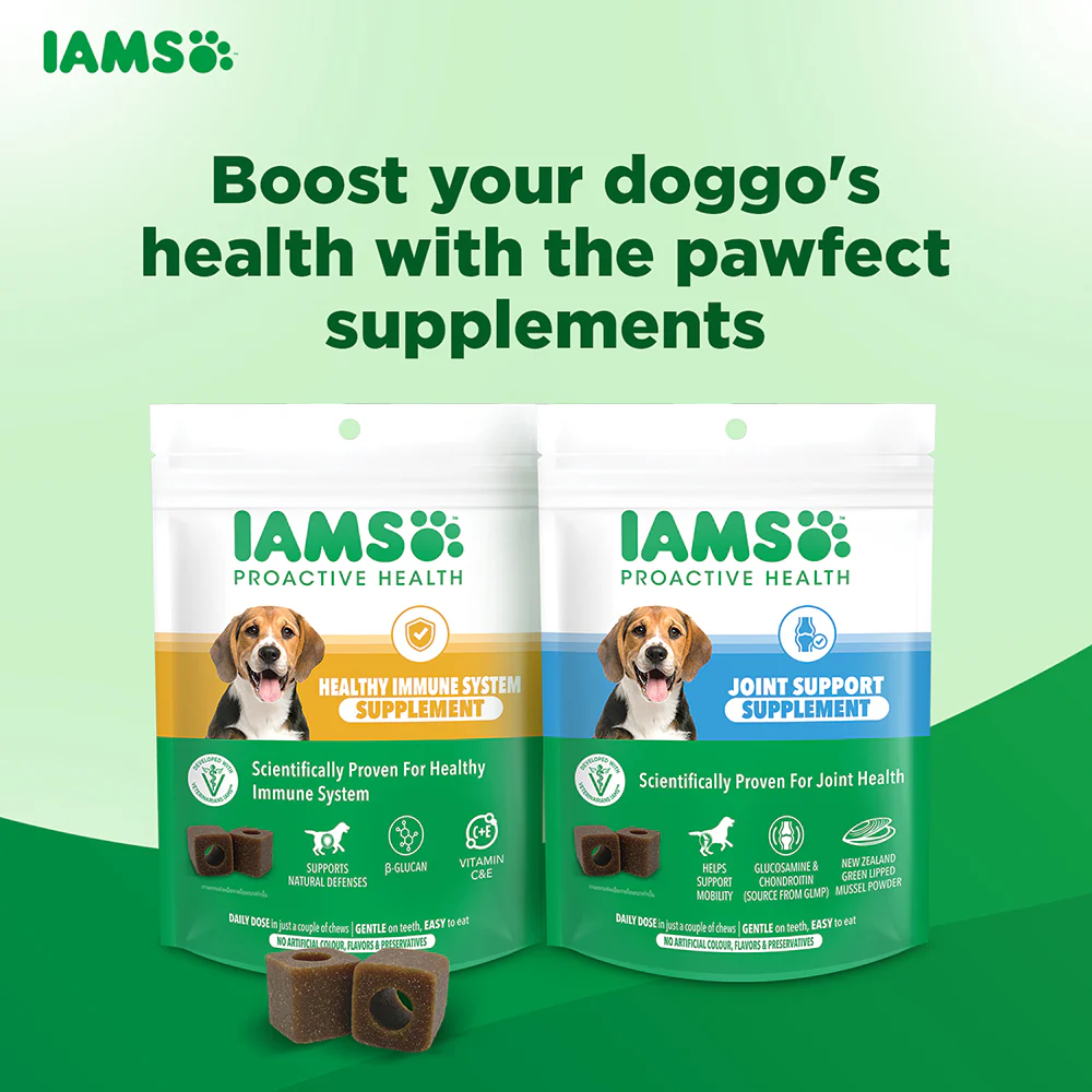 IAMS Proactive Health Dog Supplement For Joint Support - Image 8