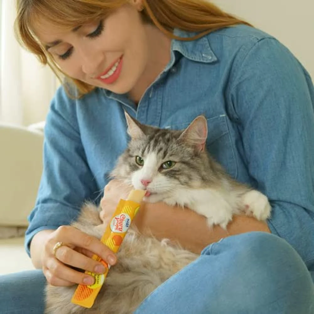 INABA Churu Pops Chicken Flavour Cat Treat - Image 5