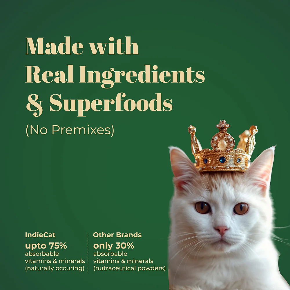 IndieCat Royal Glow Chicken Adult Cat Wet Food - Image 2