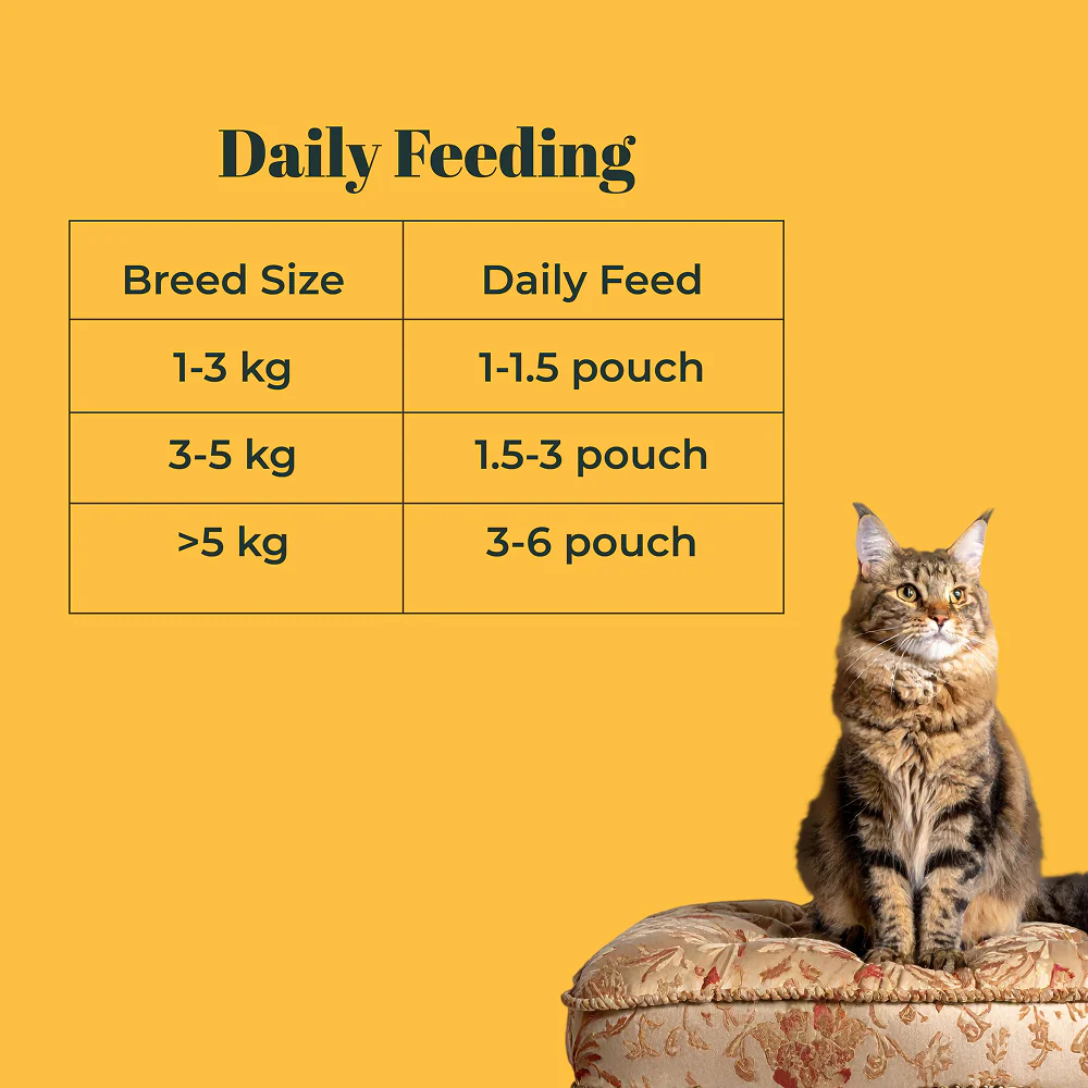 IndieCat Royal Glow Chicken Adult Cat Wet Food - Image 8