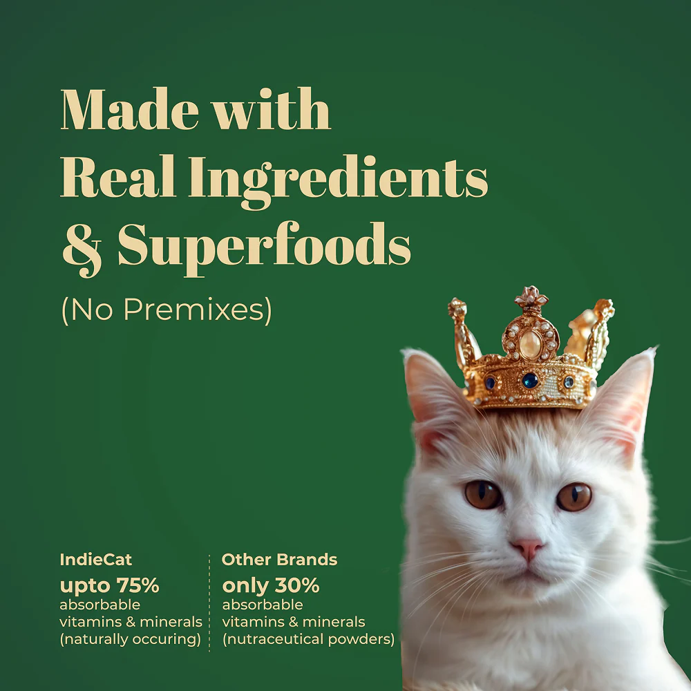IndieCat Royal Pate Chicken and Liver Adult Cat Wet Food - Image 7