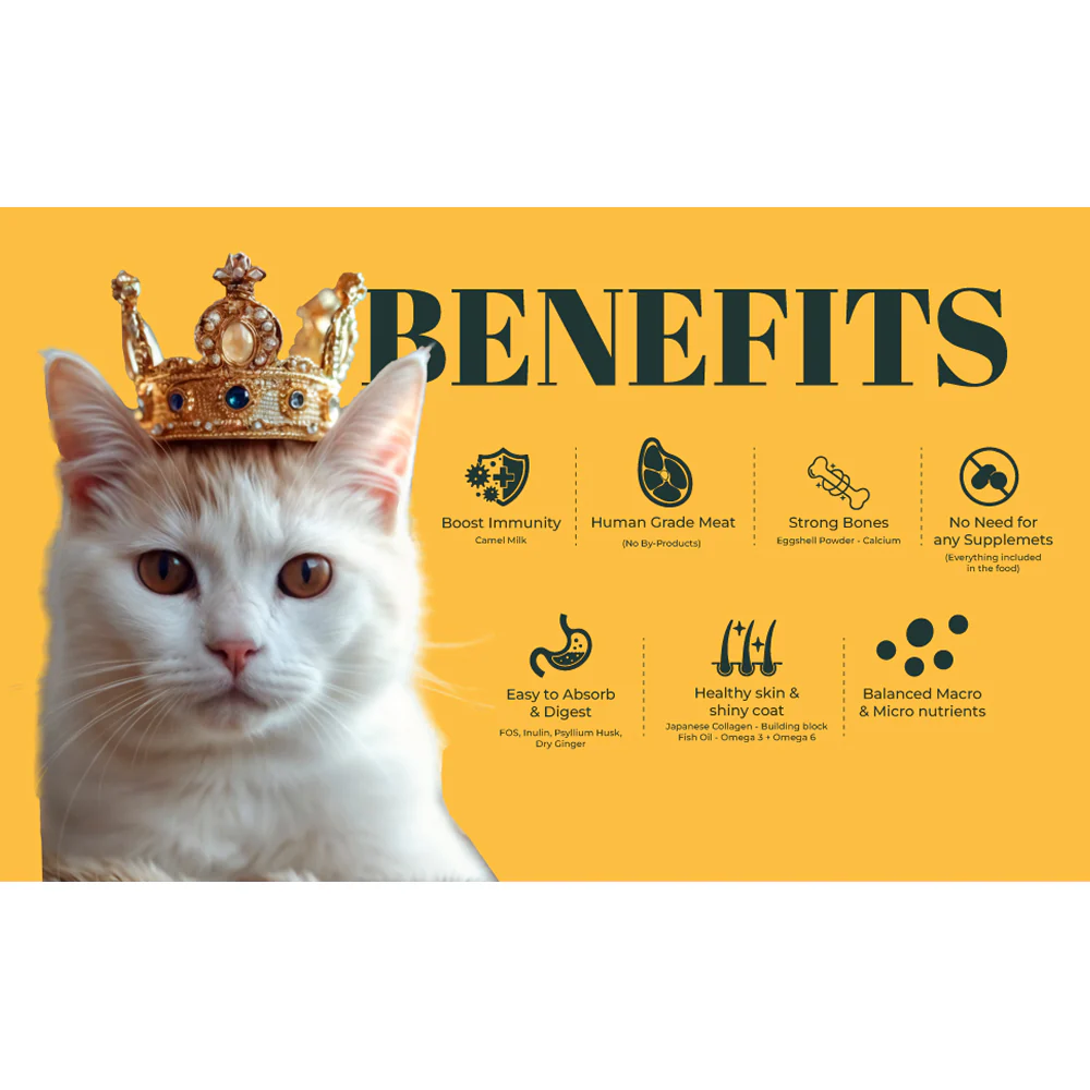 IndieCat Royal Trial Pack Adult Cat Wet Food - Image 2