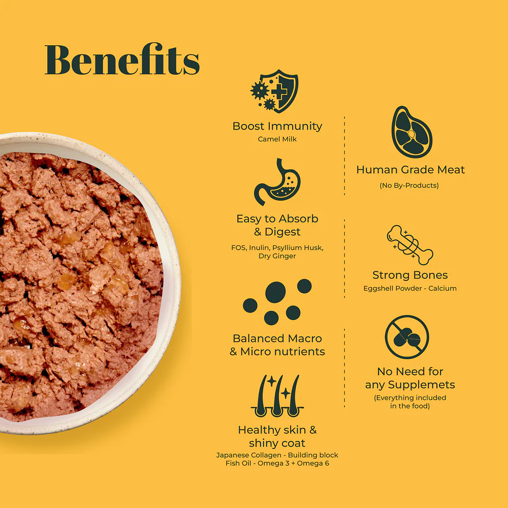 IndieCat Royal Trial Pack Adult Cat Wet Food - Image 7