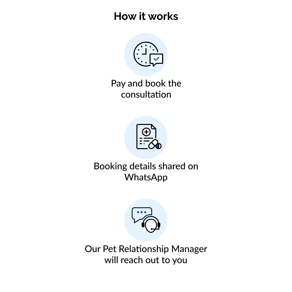Instant Consultation (10 AM to 7 PM) - Image 2