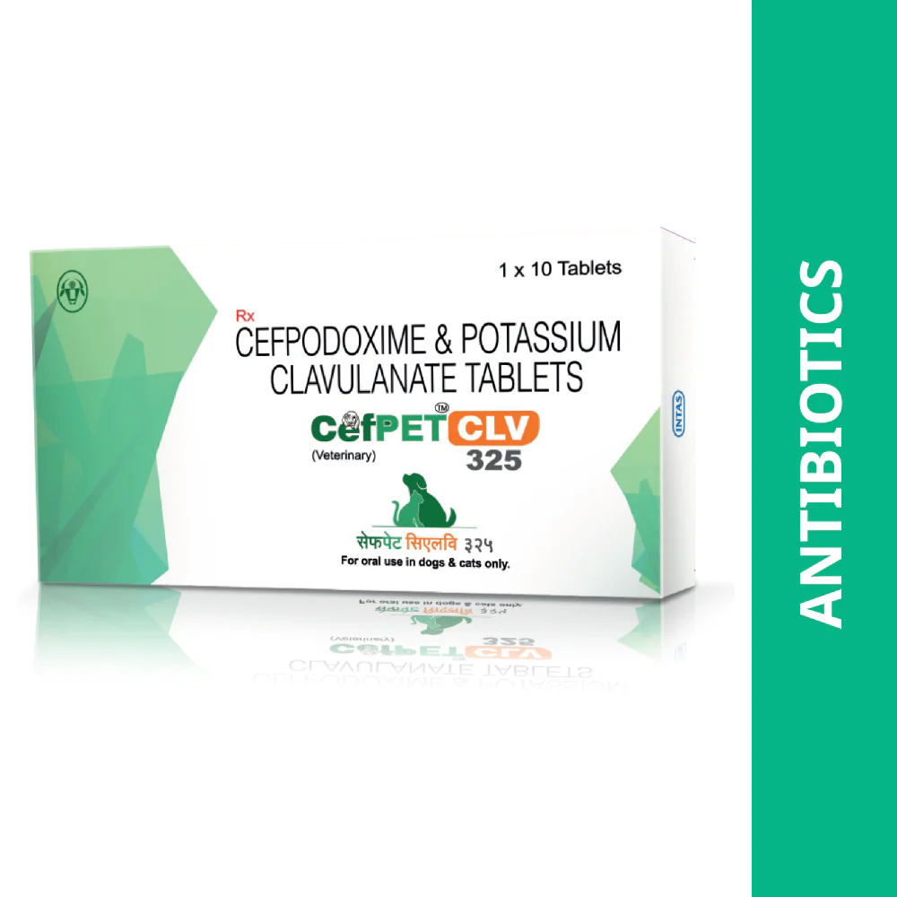 Intas Cefpet CLV 325mg Tablets (Cefpodoxime & Potassium Clavulanate) for Dogs and Cats