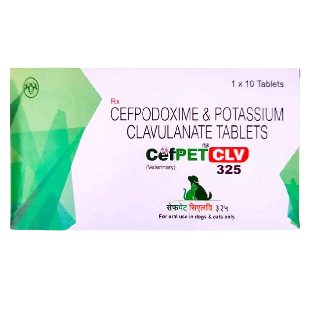 Intas Cefpet CLV 325mg Tablets (Cefpodoxime & Potassium Clavulanate) for Dogs and Cats - Image 2