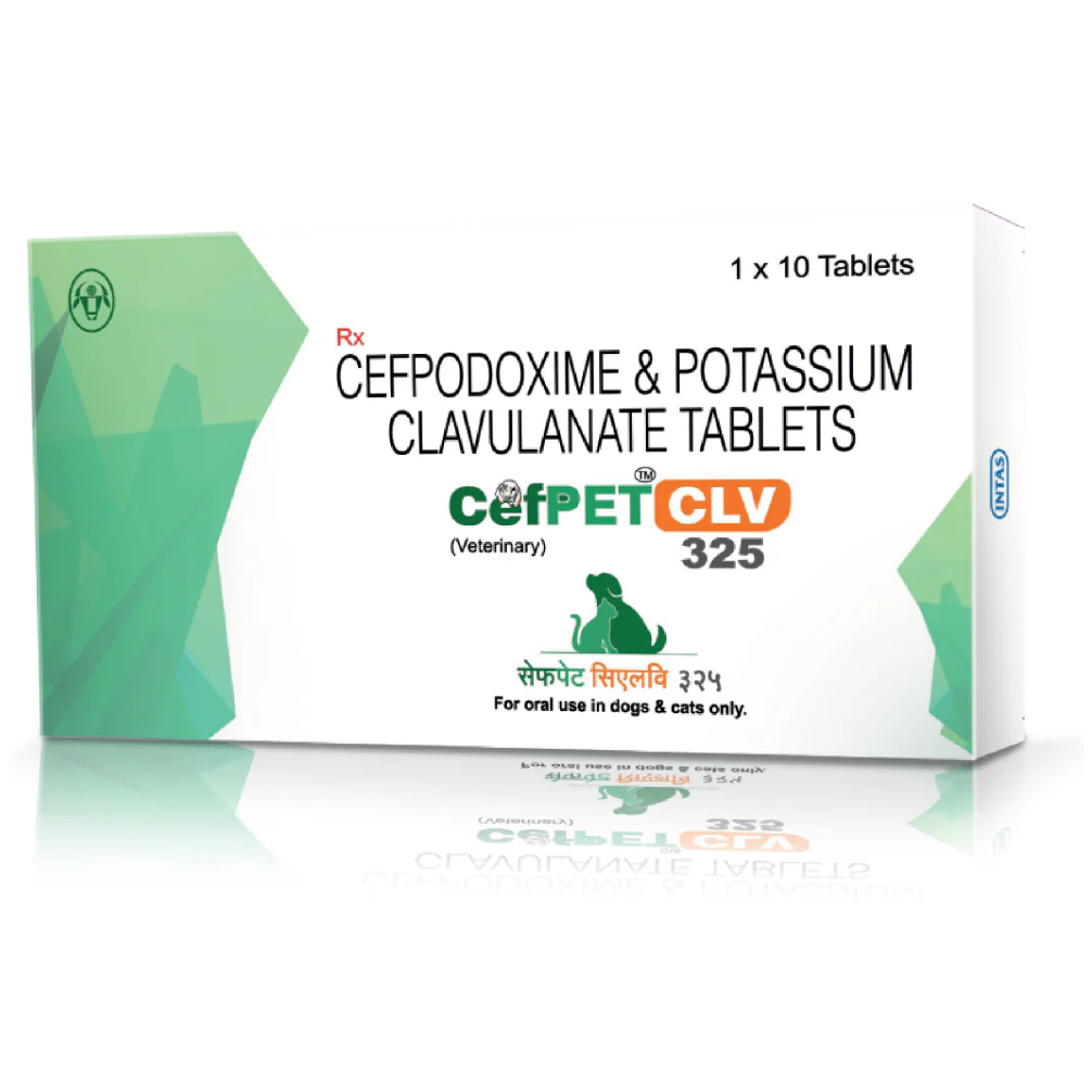 Intas Cefpet CLV 325mg Tablets (Cefpodoxime & Potassium Clavulanate) for Dogs and Cats - Image 3