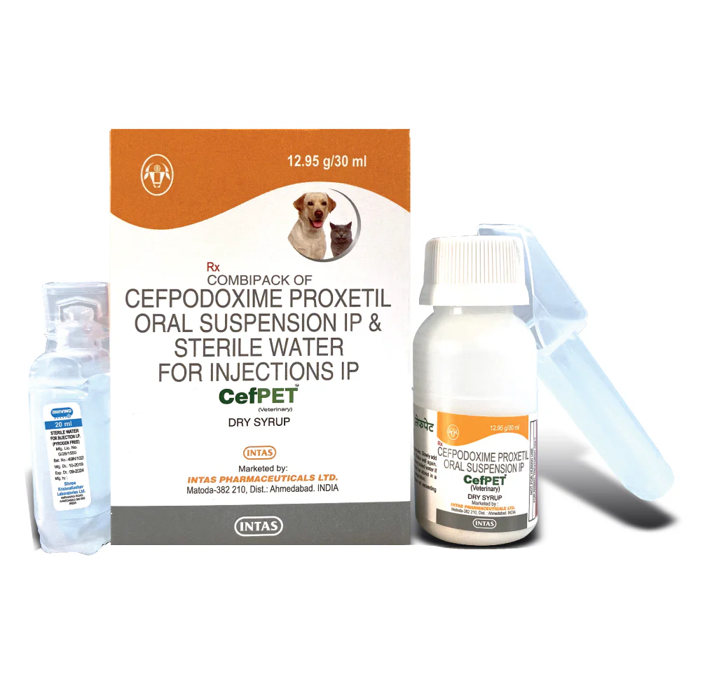 Intas Cefpet Dry Syrup (Cefpodoxime Proxetil) for Dogs and Cats (30ml) - Image 2