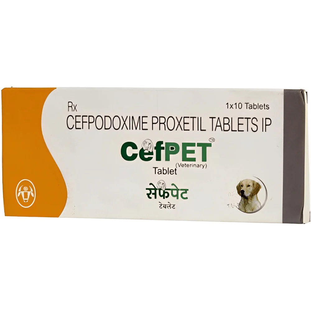 Intas Cefpet 100mg (Cefpodoxime Proxetil) Tablet for Dogs & Cats - Image 2