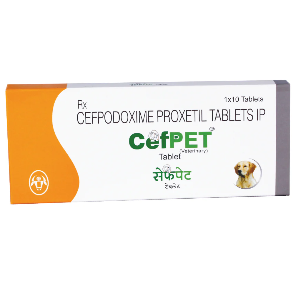 Intas Cefpet 100mg (Cefpodoxime Proxetil) Tablet for Dogs & Cats - Image 3