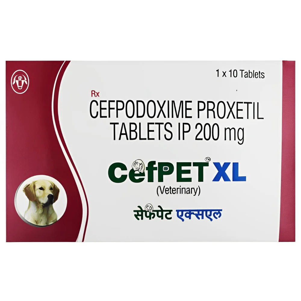 Intas Cefpet XL 200mg (Cefpodoxime Proxetil) Tablet - Image 2
