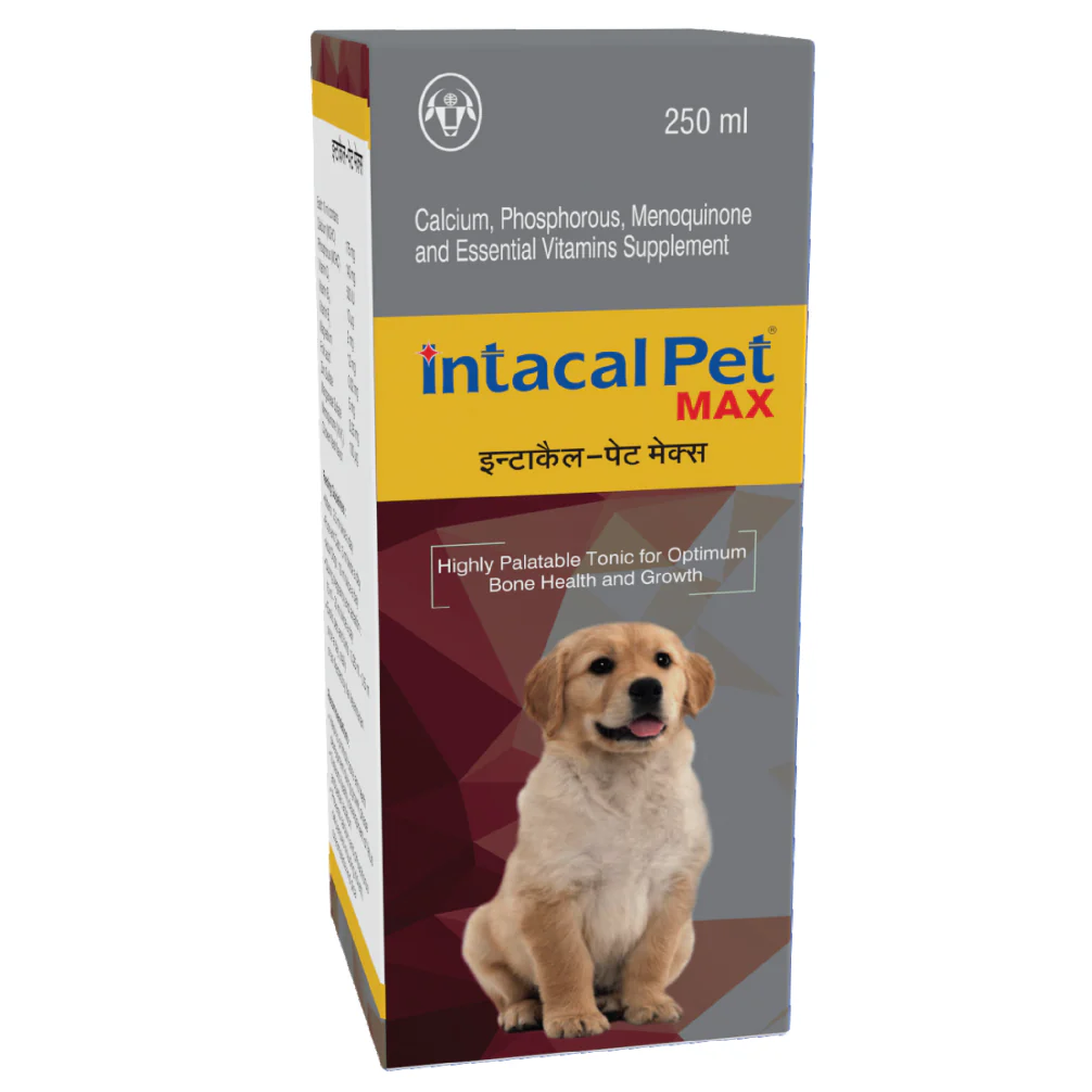 Intas Intacal Pet Max for Calcium & Multivitamin Supplement Dogs and Cats (250ml) - Image 2