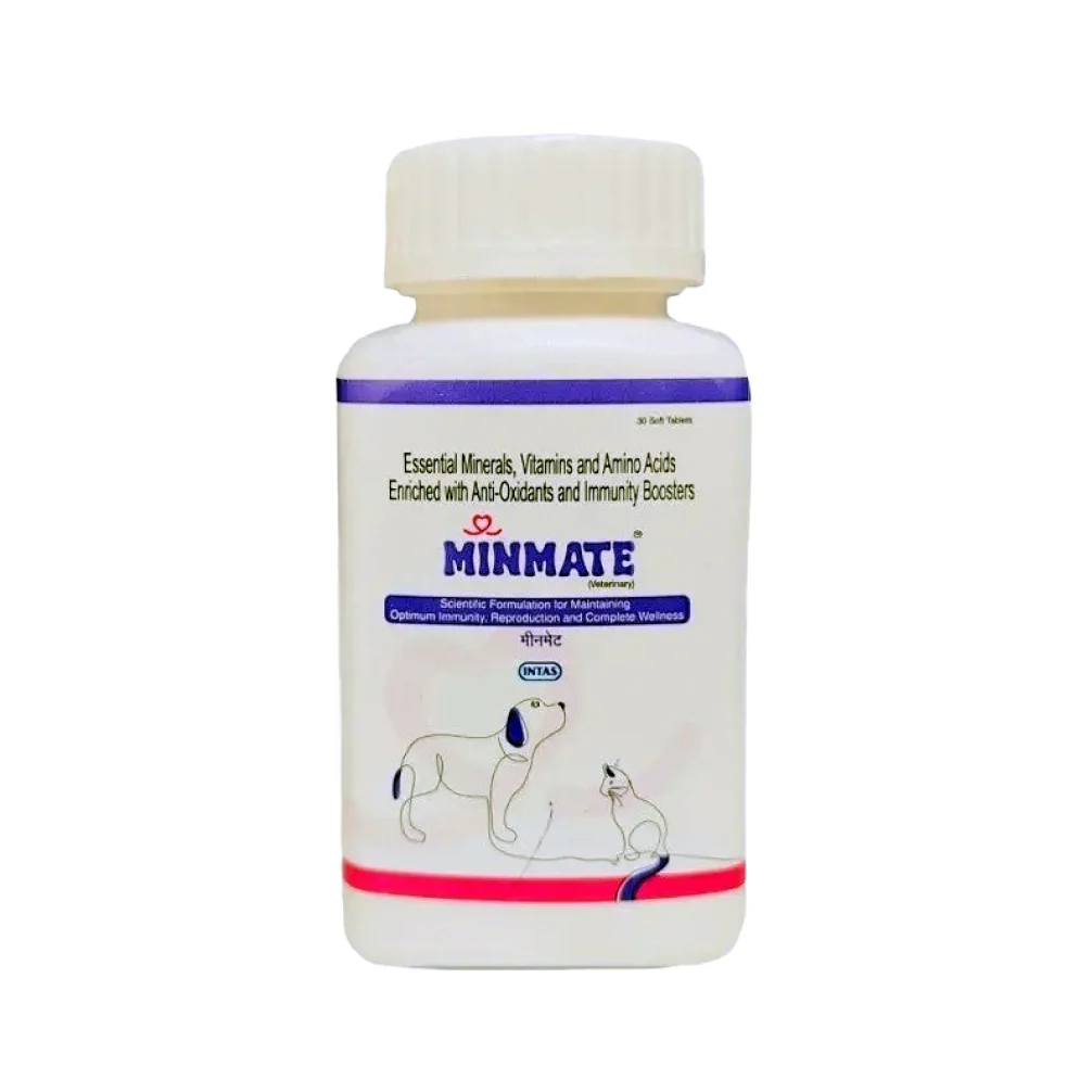 Intas Minmate Tablet Immunity Supplement for Dogs & Cats - Image 2