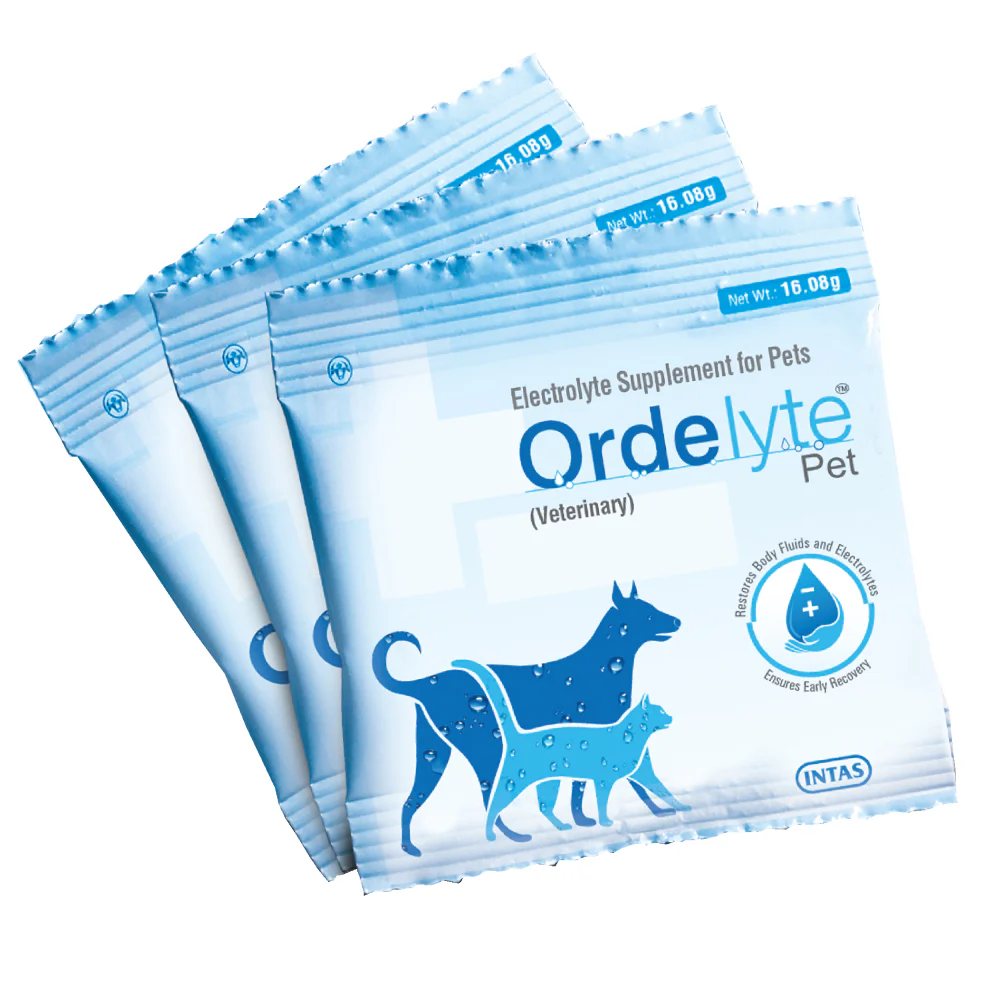 Intas Ordelyte Powder Electrolyte Suppement for Dogs and Cats - Image 2