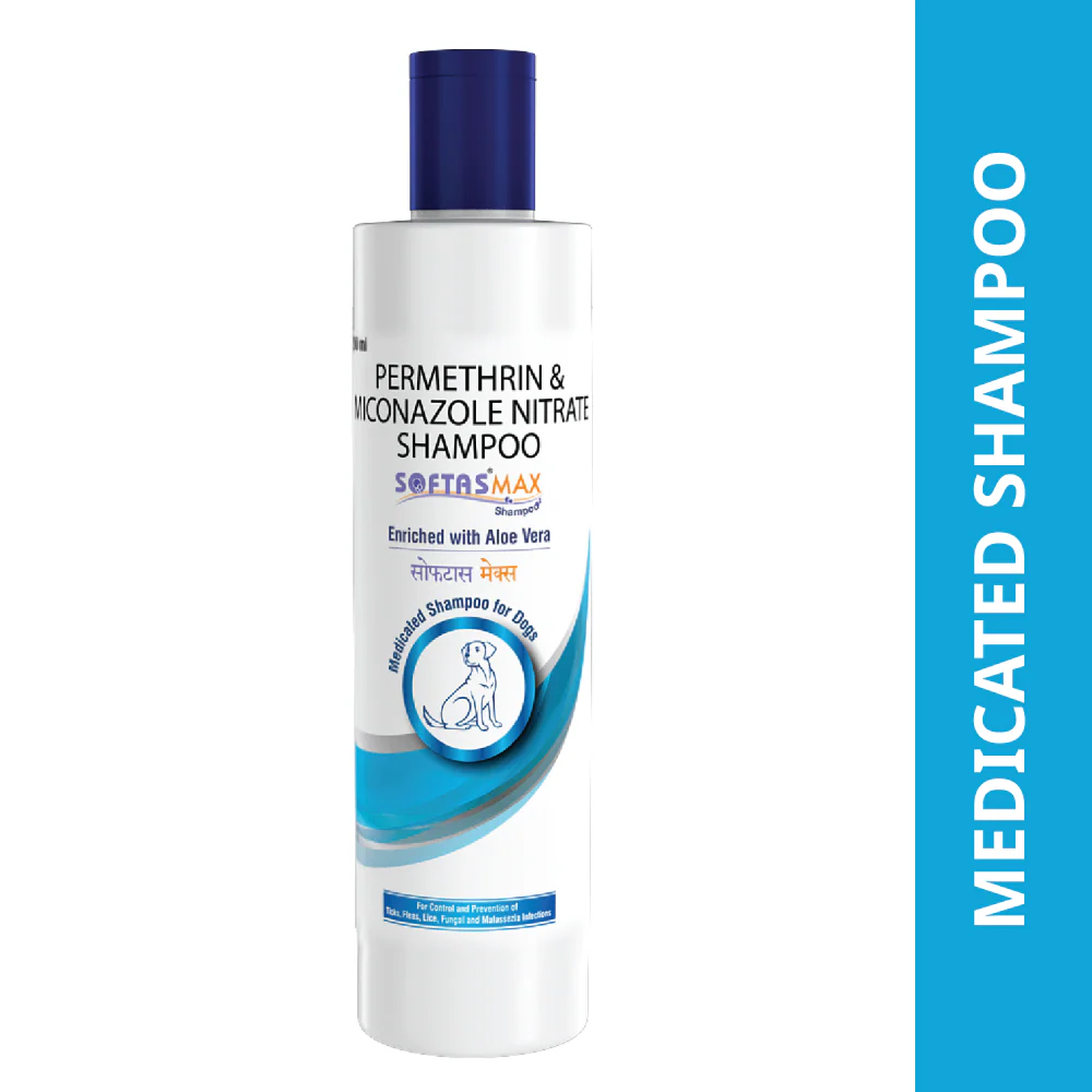 Intas Softas Max Tick & Flea Shampoo for Dogs