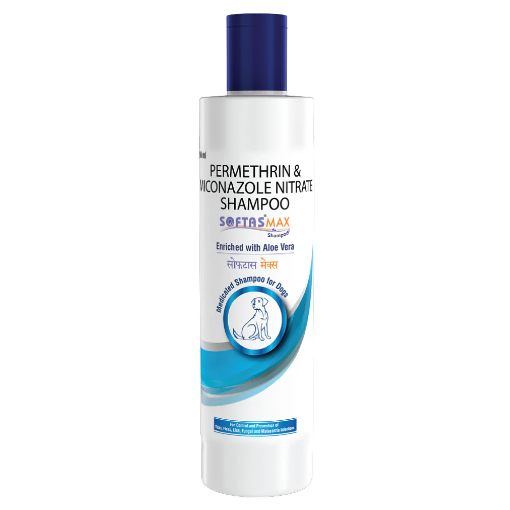 Intas Softas Max Tick & Flea Shampoo for Dogs - Image 2
