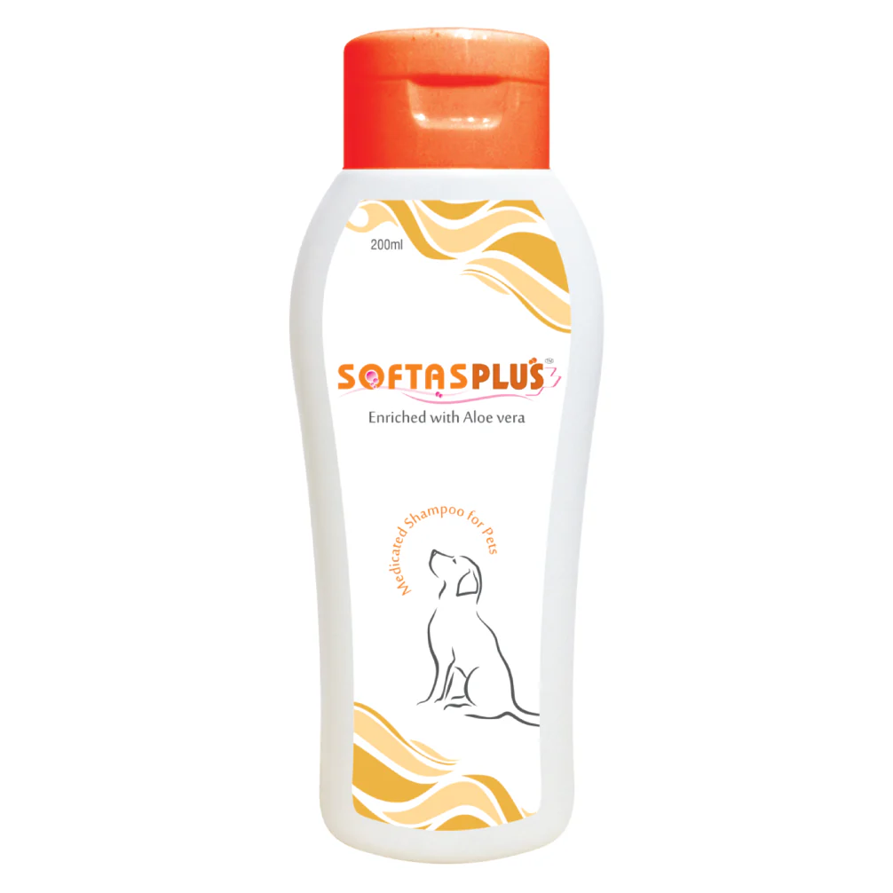 Intas Softas Plus Tick & Flea Shampoo for Dogs - Image 2