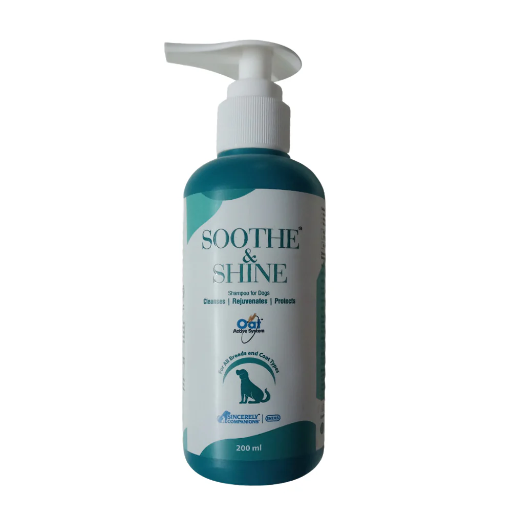 Intas Soothe & Shine Shampoo for Dogs - Image 3