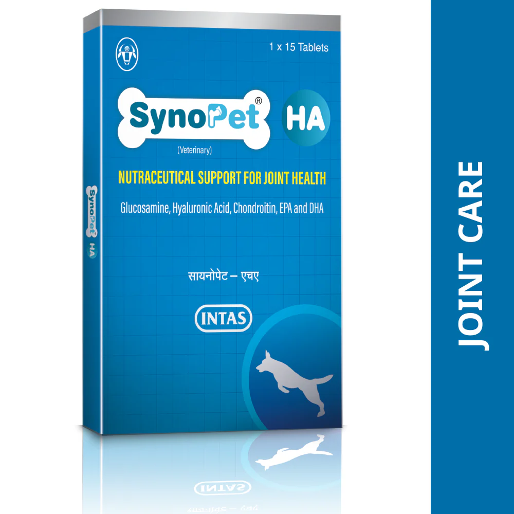 Intas Synopet HA for Dogs and Cats
