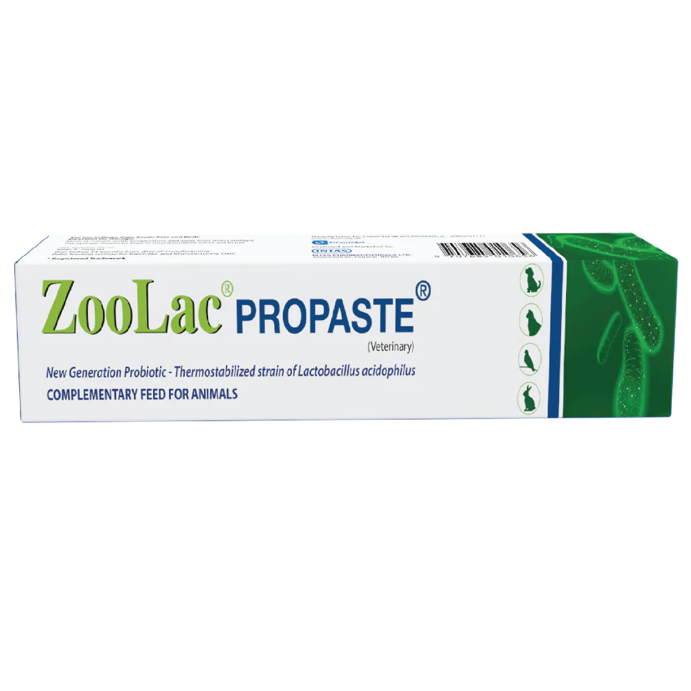 Intas Zoolac Propaste Probiotics for Dogs and Cats - Image 2