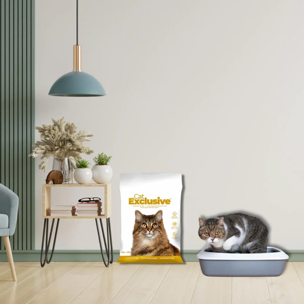 Intersand Cat's Exclusive Sodium Bentonite Clumping Unscented Cat Litter - Image 5
