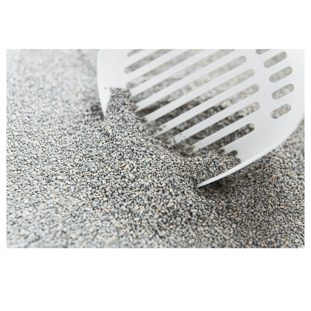 Intersand Unscented Odour Lock Cat Litter - Image 3
