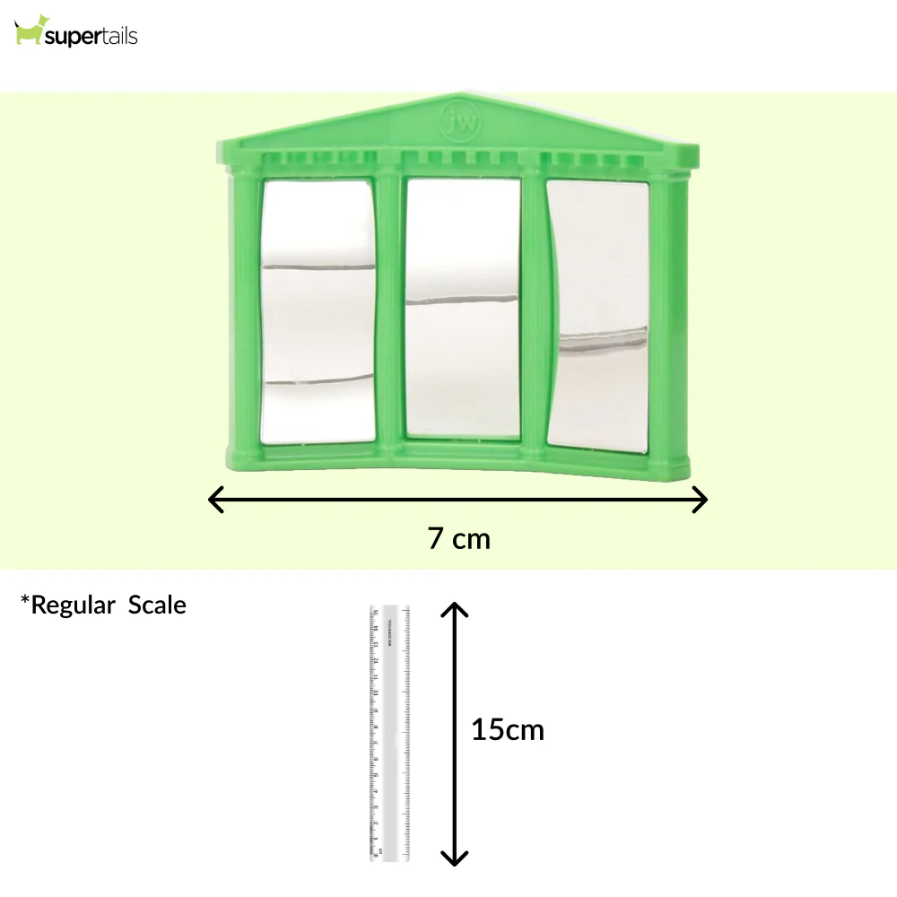 JW Activity Fun House Mirror Toy for Birds (Green) - Image 2