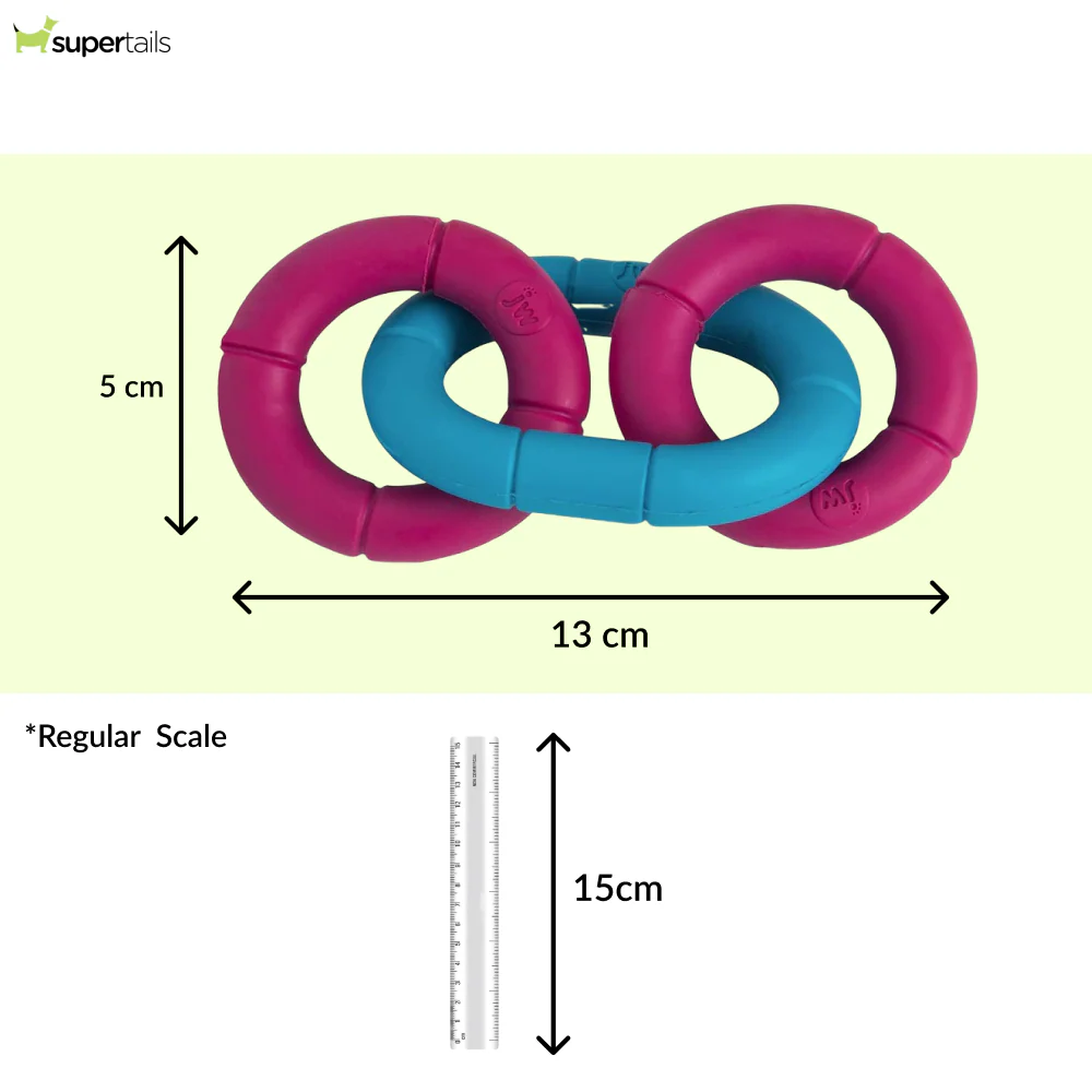 JW Invincible Chains Toy for Dogs (Blue/Pink) - Image 2