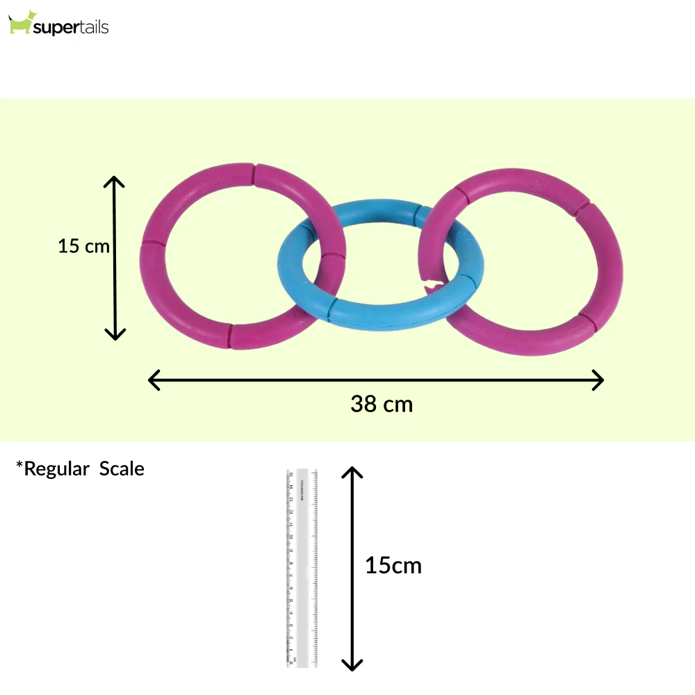 JW Invincible Chains Triple Toy for Dogs (Blue/Pink) - Image 2
