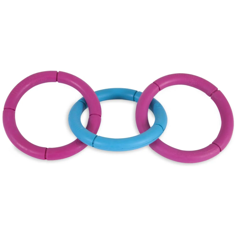 JW Invincible Chains Triple Toy for Dogs (Blue/Pink) - Image 3