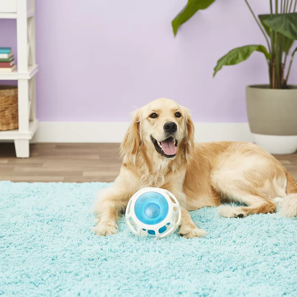 JW Rockin Treat Ball Toy for Dogs (White/Blue) - Image 4