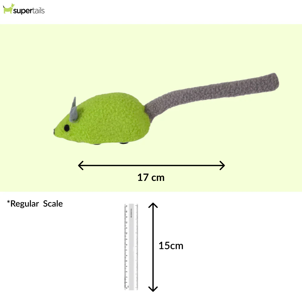 JW Zippy Mouse Toy for Cats (Green) - Image 2