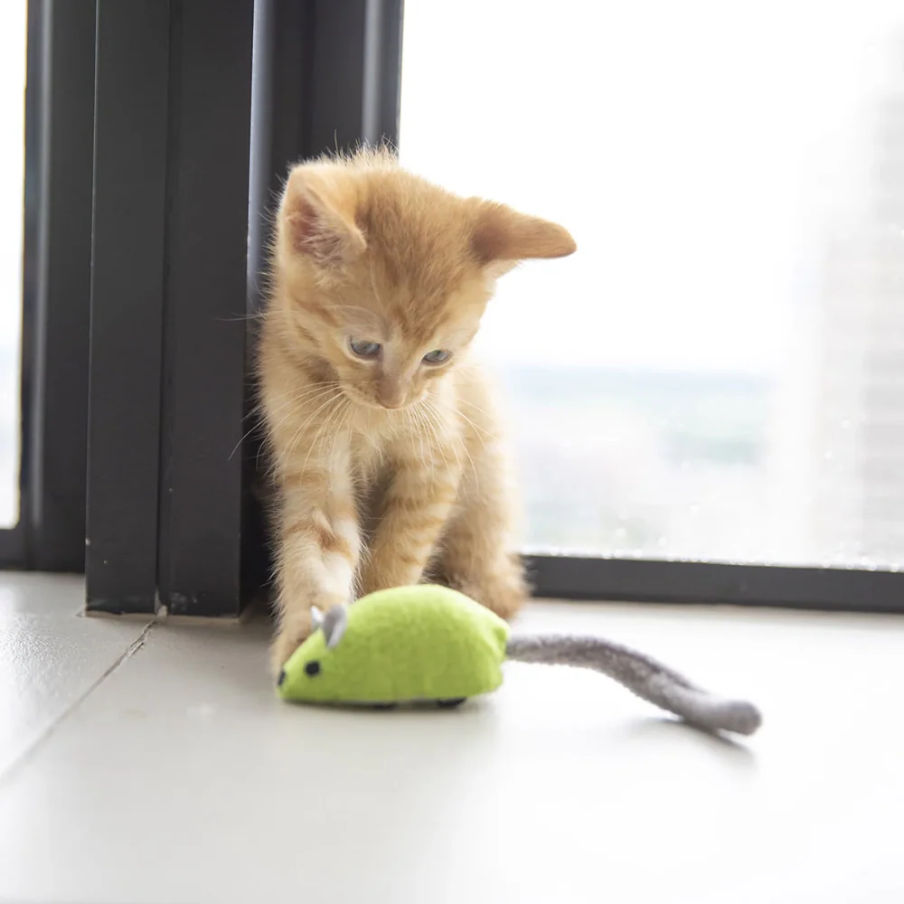 JW Zippy Mouse Toy for Cats (Green) - Image 3