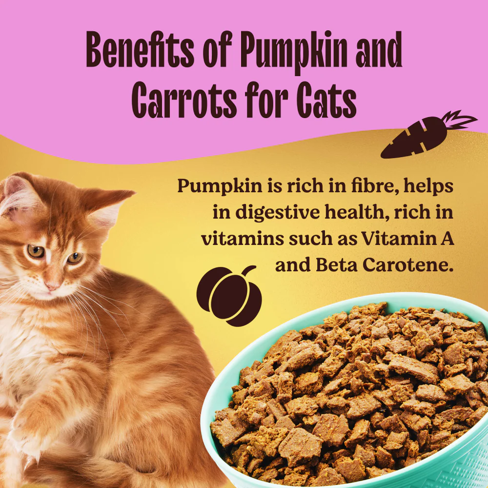 Kennel Kitchen Air Dried Chicken and Mackerel for Cat Dry Food (All Life Stage) - Image 5