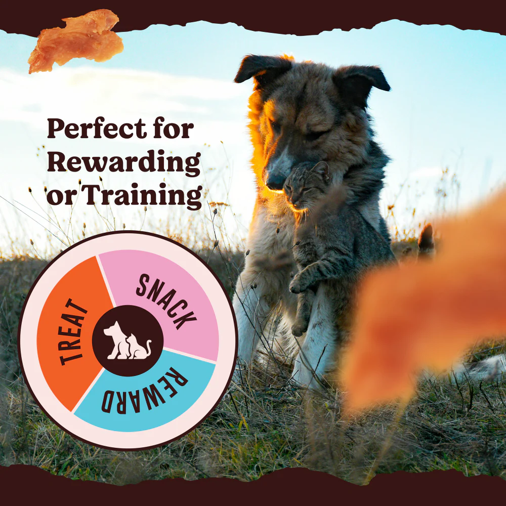 Kennel Kitchen Air Dried Chicken Jerky Dog and Cats Treats - Image 8