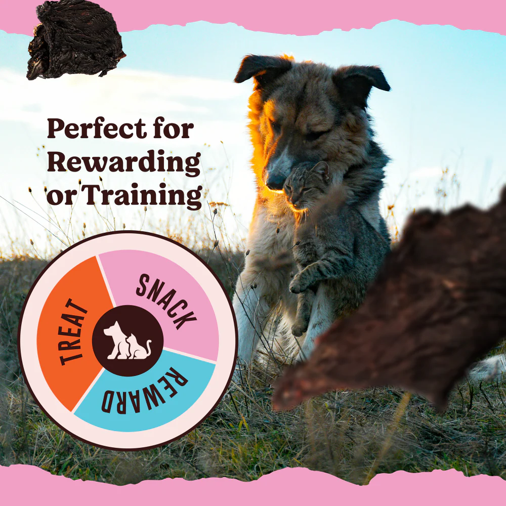 Kennel Kitchen Air Dried Mutton Jerky Dog and Cat Treats - Image 3
