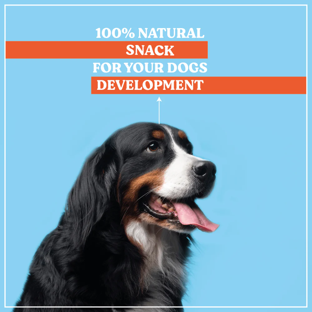 Kennel Kitchen Calcium Chicken Nuggets Dog Treat - Image 4
