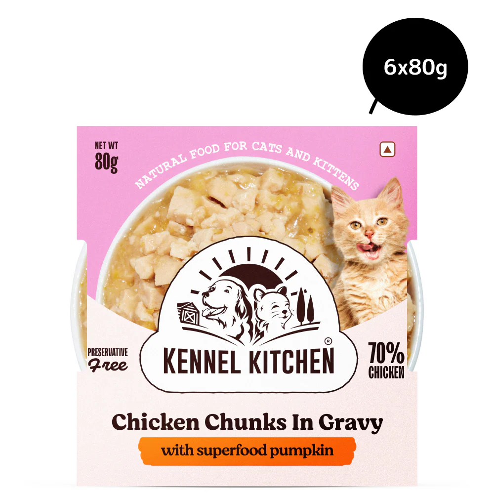 Kennel Kitchen Chicken Chunks in Gravy with Superfood Pumpkin Kitten & Adult Cat Wet Food - Image 3