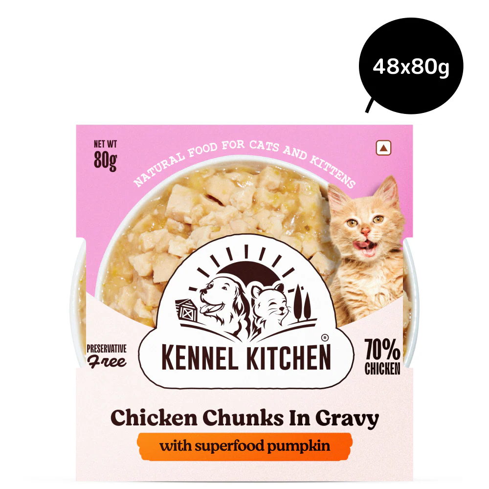 Kennel Kitchen Chicken Chunks in Gravy with Superfood Pumpkin Kitten & Adult Cat Wet Food - Image 4