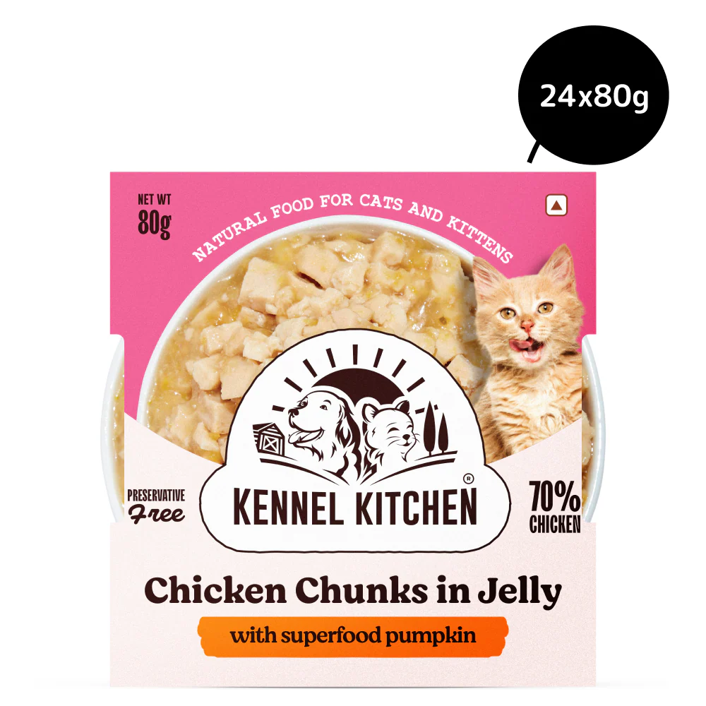 Kennel Kitchen Chicken Chunks in Jelly with Superfood Pumkin Cat Wet Food - Image 3
