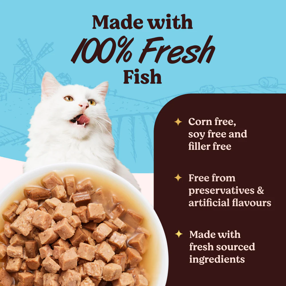 Kennel Kitchen Fish Chunks in Gravy Kitten and Adult Cat Wet Food (All Life Stage) - Image 2