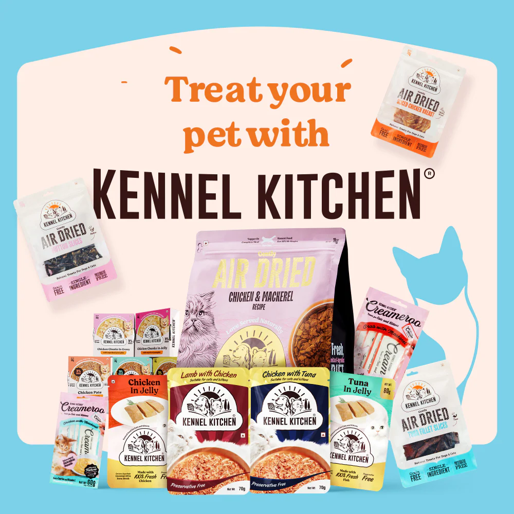 Kennel Kitchen Fish Chunks in Gravy Kitten and Adult Cat Wet Food (All Life Stage) - Image 7