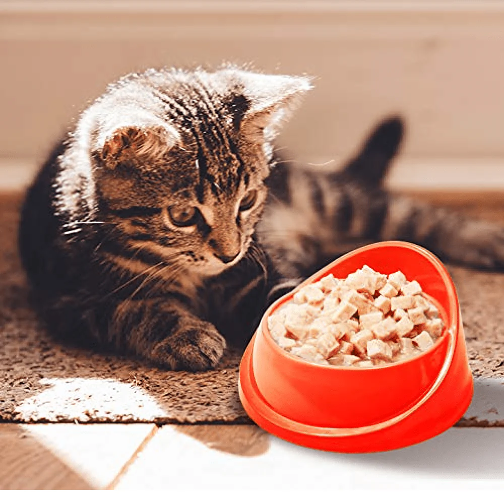 Kennel Kitchen Fish Chunks in Gravy Kitten and Creameroo Chicken with Mackerel Creamy Cat Treats Combo - Image 4