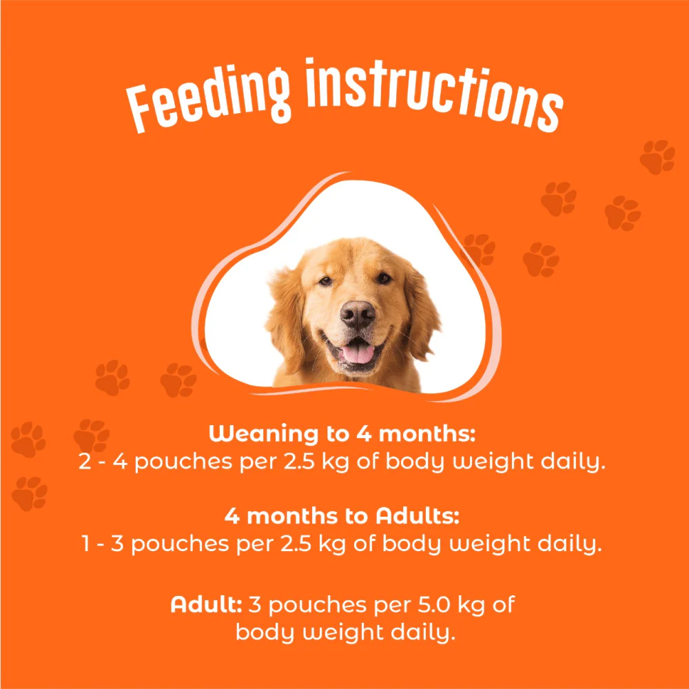 Kennel Kitchen Lamb Chunks in Gravy and Chicken Chunks in Gravy Adult and Puppy Dog Wet Food (All Life Stage) Combo - Image 11