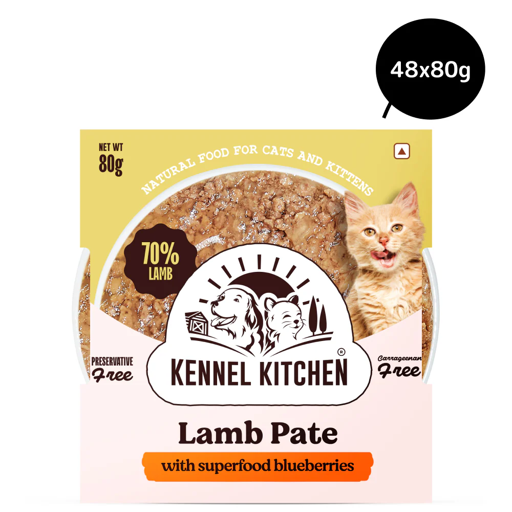 Kennel Kitchen Lamb Pate with Superfood Blueberries Cat Wet Food - Image 3