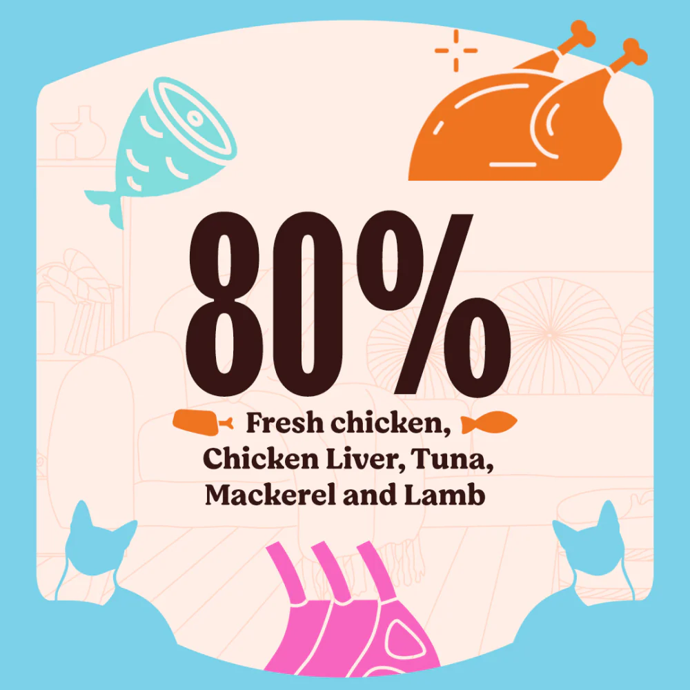 Kennel Kitchen Lamb with Chicken Shreds in Gravy Kitten and Adult Cat Wet Food (All Life Stage) - Image 4