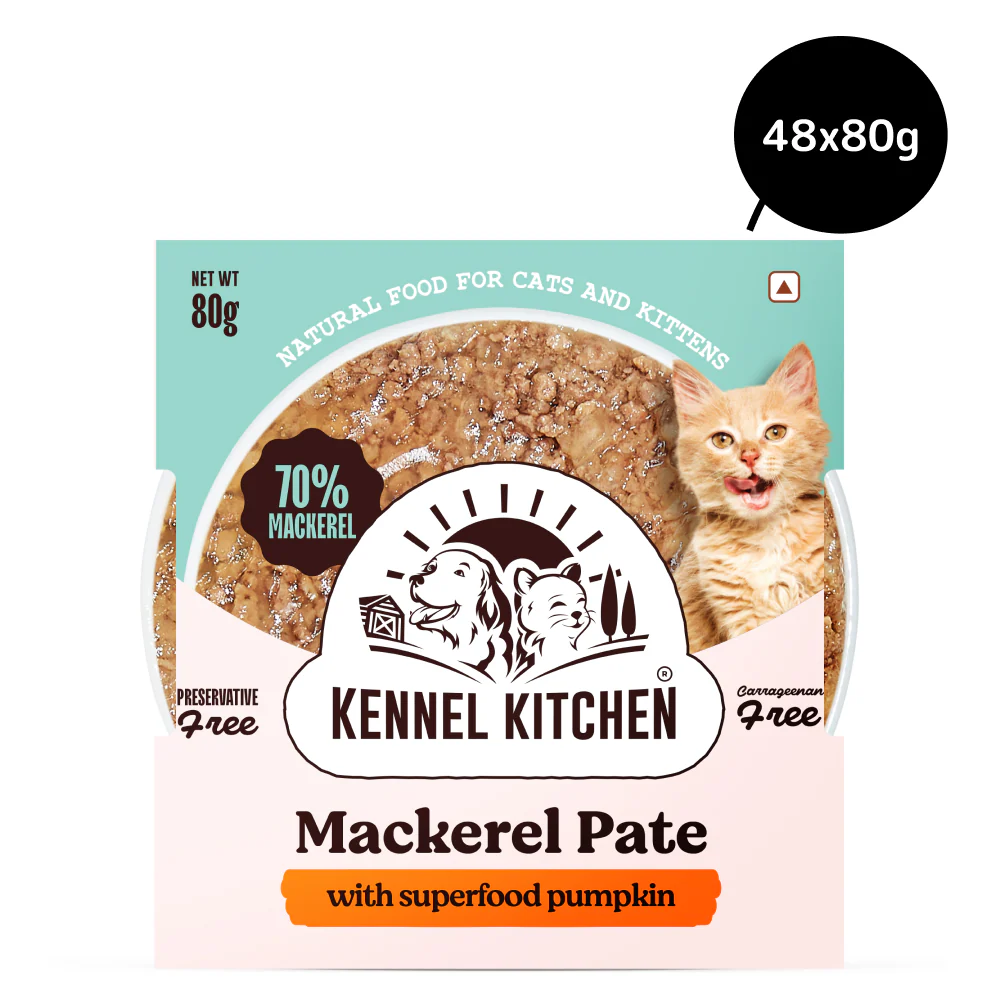 Kennel Kitchen Mackerel Pate with Superfood Pumpkin Cat Wet Food - Image 3