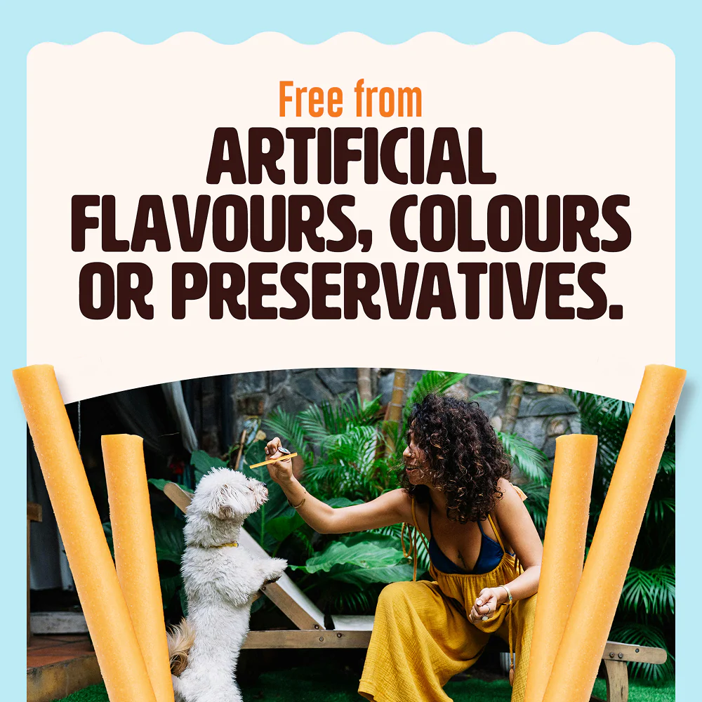 Kennel Kitchen Fish Sticks with Turmeric Dog Treats - Image 14
