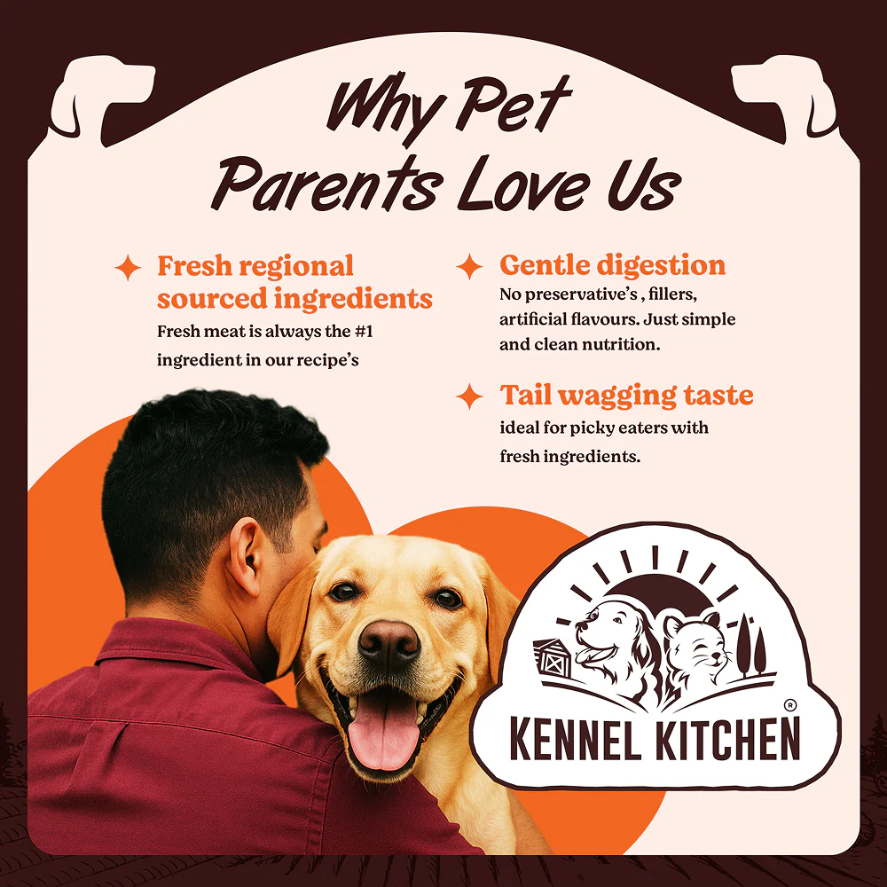 Kennel Kitchen Supreme Cuts in Gravy Fish Recipe with Pumpkin Puppy & Adult Dog Wet Food (All Life Stage) - Image 5